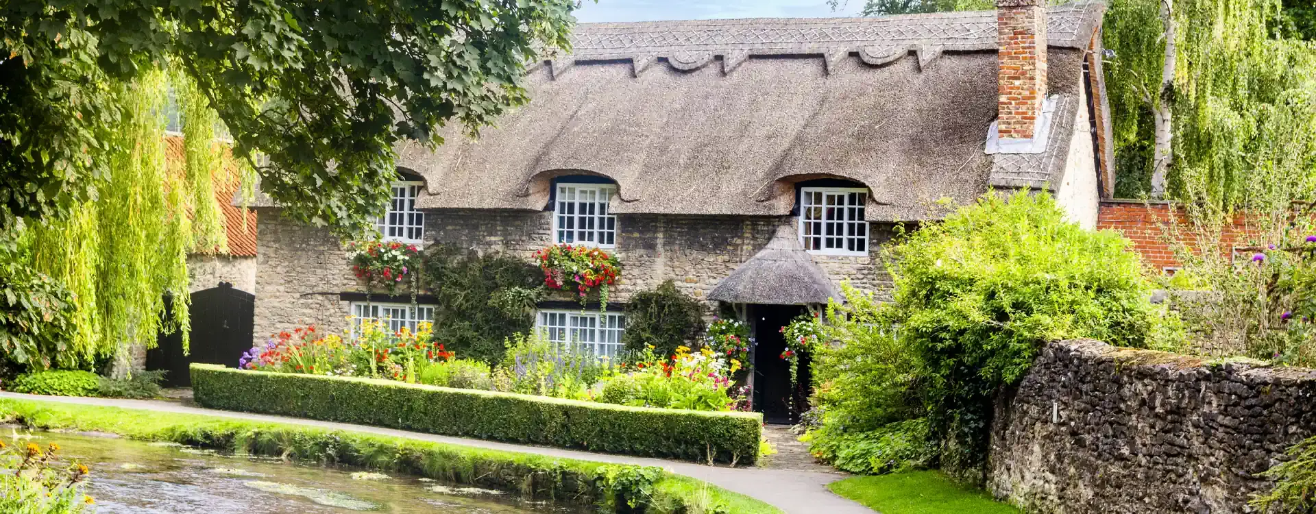 Thatch Assist insurance quote banner